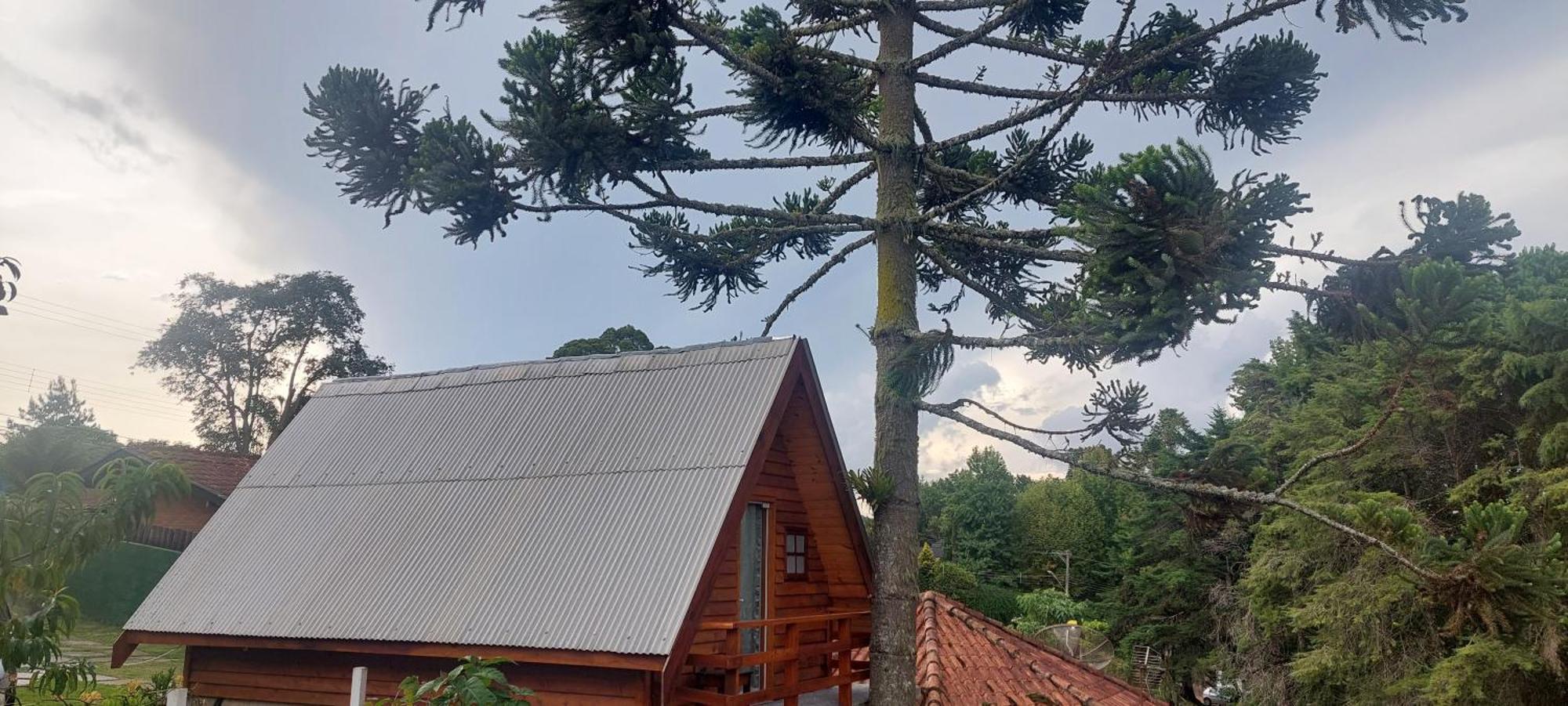 Chale Com Hidromassagem Da Vick Hotel Campos do Jordão Екстериор снимка